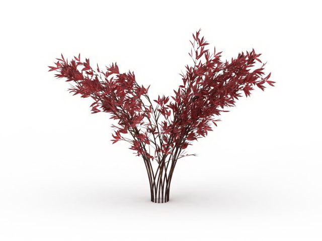 Red tipped photinia shrub 3d rendering