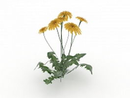 Gerbera flower plant 3d model preview