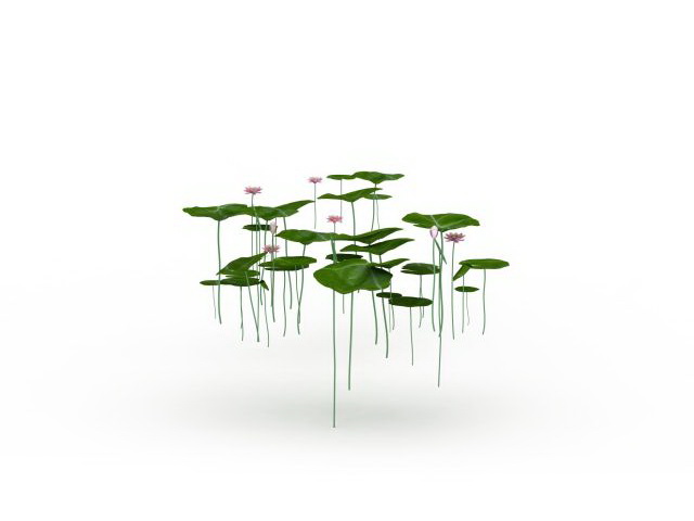 Lotus leaves and flowers 3d rendering