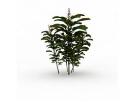 Tree branch with leaves 3d model preview