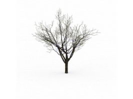 Winter tree 3d model preview