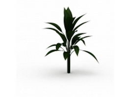 Large broad leaf plant 3d model preview