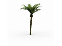 Date palm tree 3d model preview
