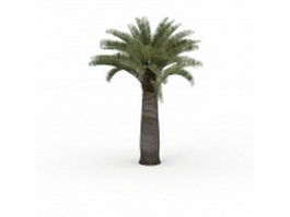 California palm tree 3d model preview