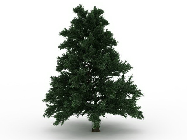 Leyland cypress tree 3d rendering