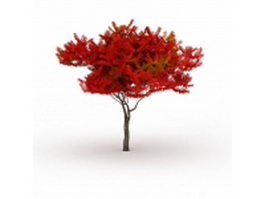 Autumn flame maple tree 3d model preview