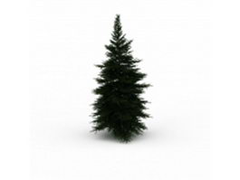 Dwarf pine tree 3d model preview