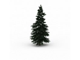 Italian Cypress pine tree 3d model preview