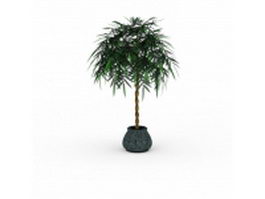 Potted money tree plant 3d model preview