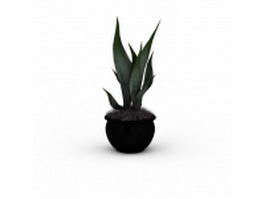 Potted aloe plant 3d model preview