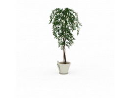 Blooming potted tree 3d model preview