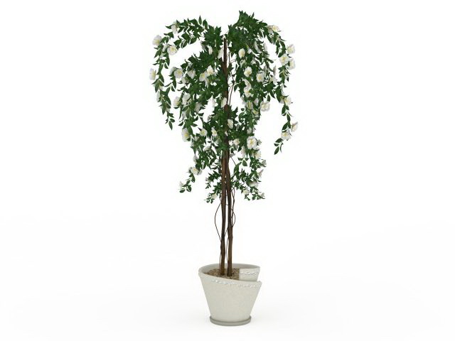 Blooming potted tree 3d rendering