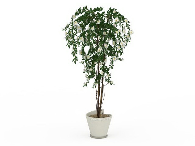 Blooming potted tree 3d rendering