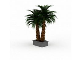 Outdoor potted palm plants 3d preview
