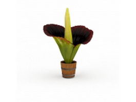Corpse flower 3d model preview
