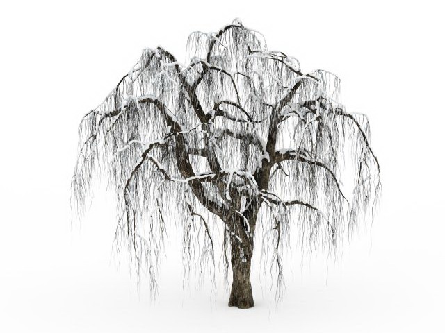 Snow covered tree 3d rendering