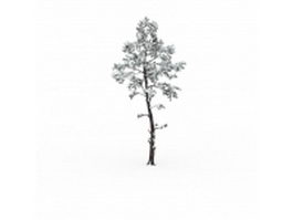 Snowy tree 3d model preview