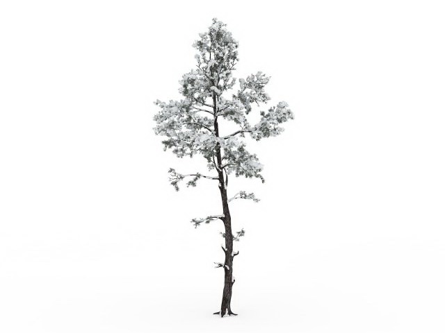 Snowy tree 3d rendering
