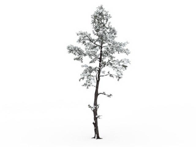 Snowy tree 3d rendering