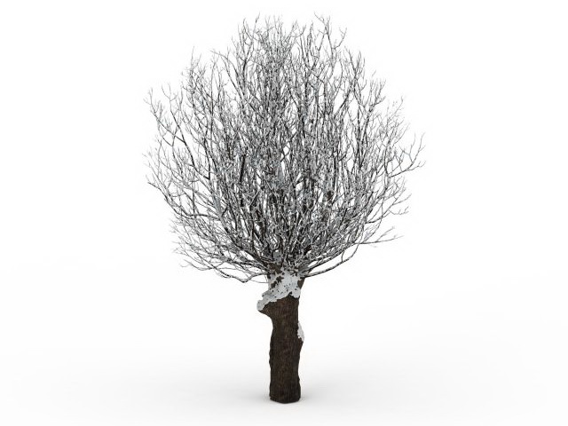 Winter tree scene 3d rendering
