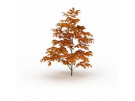 Beautiful maple tree 3d model preview