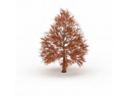 Metasequoia dawn redwood tree 3d model preview