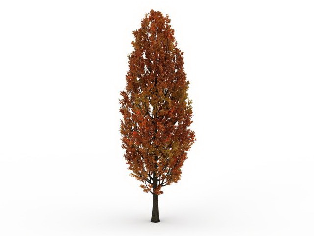 Red cypress tree 3d rendering