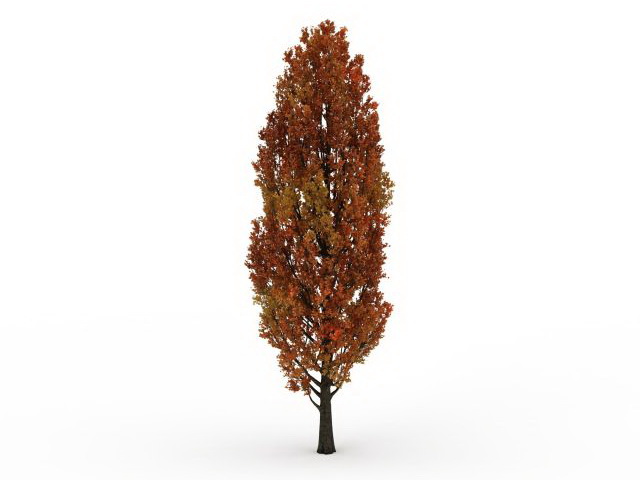 Red cypress tree 3d rendering