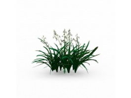 Cymbidium Orchid plant 3d model preview