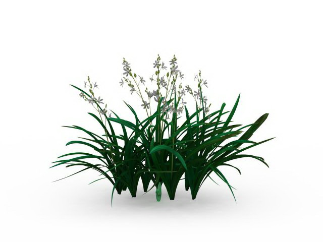 Cymbidium Orchid plant 3d rendering