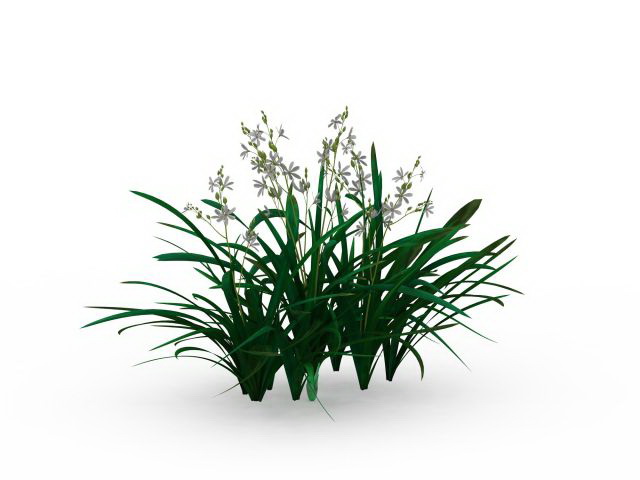 Cymbidium Orchid plant 3d rendering