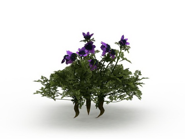 Dwarf bushes with purple flower 3d rendering