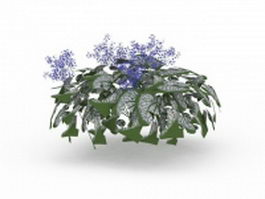 Silver leaved plants 3d model preview