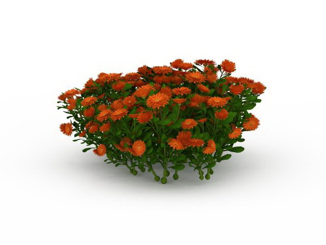 Orange and yellow flower plant 3d rendering