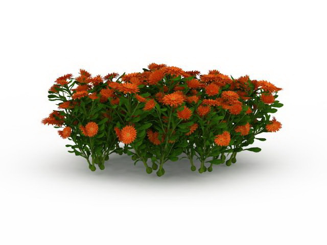 Orange and yellow flower plant 3d rendering