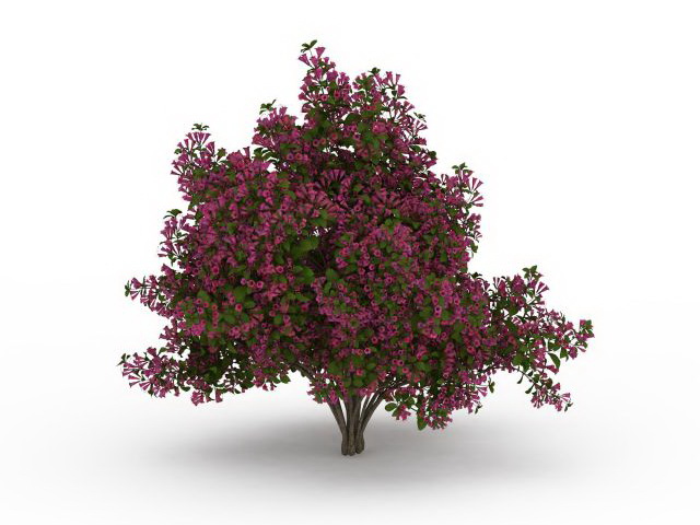 Flower blooming tree 3d rendering
