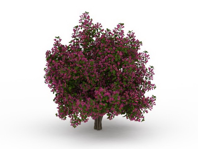 Flower blooming tree 3d rendering