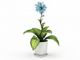 Potted dieffenbachia plant 3d model preview