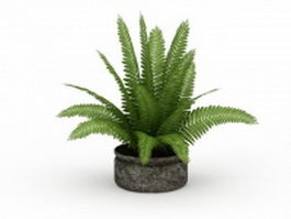 Fern plant pot 3d model preview