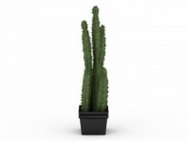 Tall potted cactus plants 3d model preview