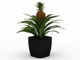 Pot pineapple plant 3d model preview