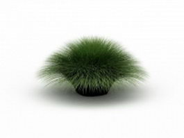 Muhlenbergia grass 3d model preview