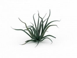Aloe vera plant 3d model preview