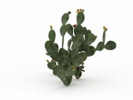 Cactus fruit 3d model preview