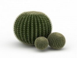 Silver ball cactus 3d model preview