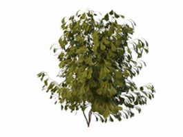 Small tree bush 3d model preview