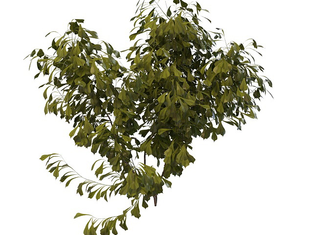 Small tree bush 3d rendering