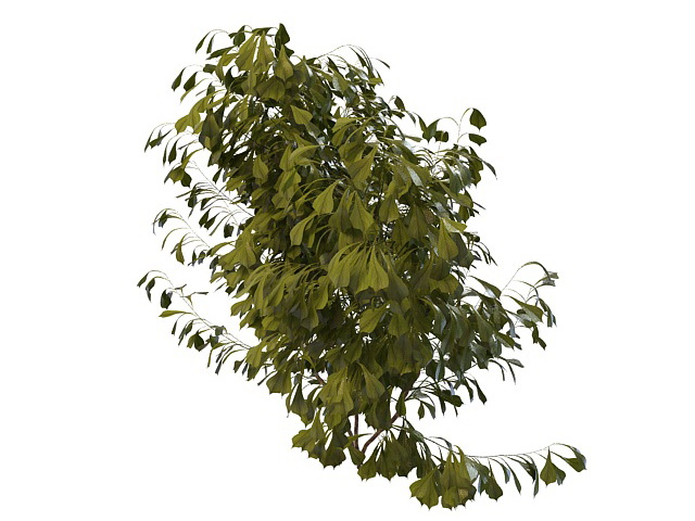 Small tree bush 3d rendering