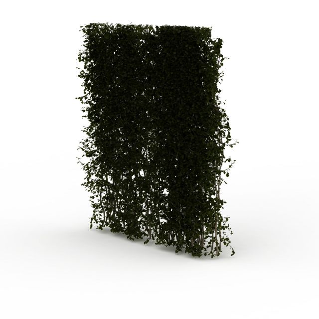 Green screen vine wall 3d rendering