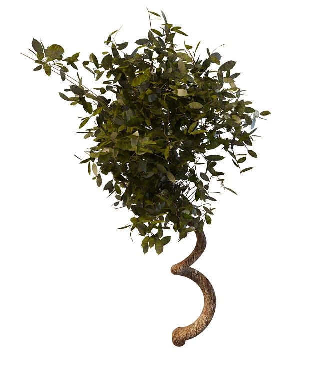 Large vine with leaves 3d rendering